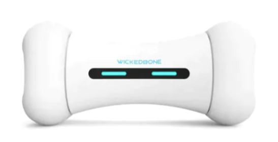 Interactive Smart Dog Toy