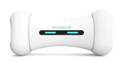 Interactive Smart Dog Toy